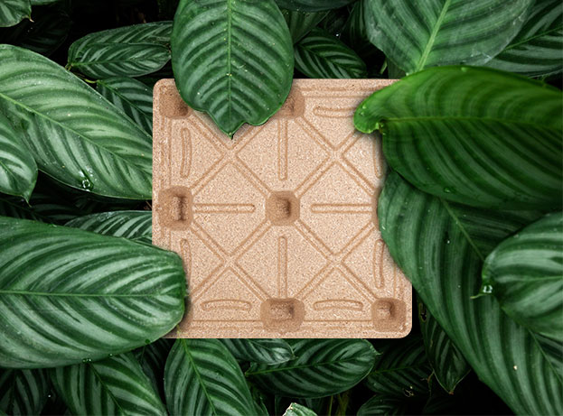 Ronsun Import & Export Co., Ltd.